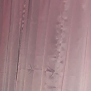 Meet your Posher, Raegan